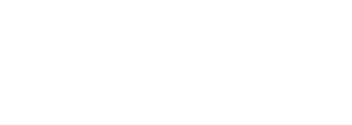 Logo Pépite France
